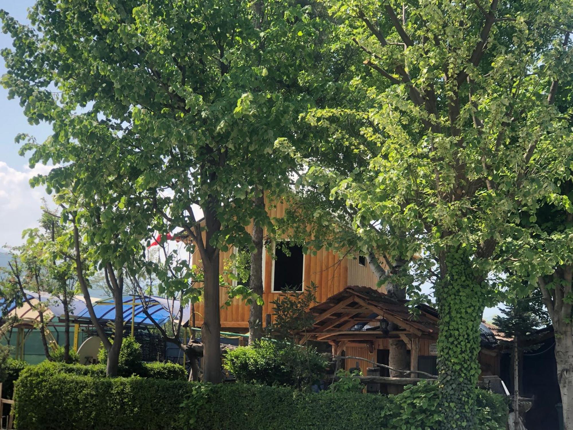 Bujtina Gashi Guest House Kukes Экстерьер фото