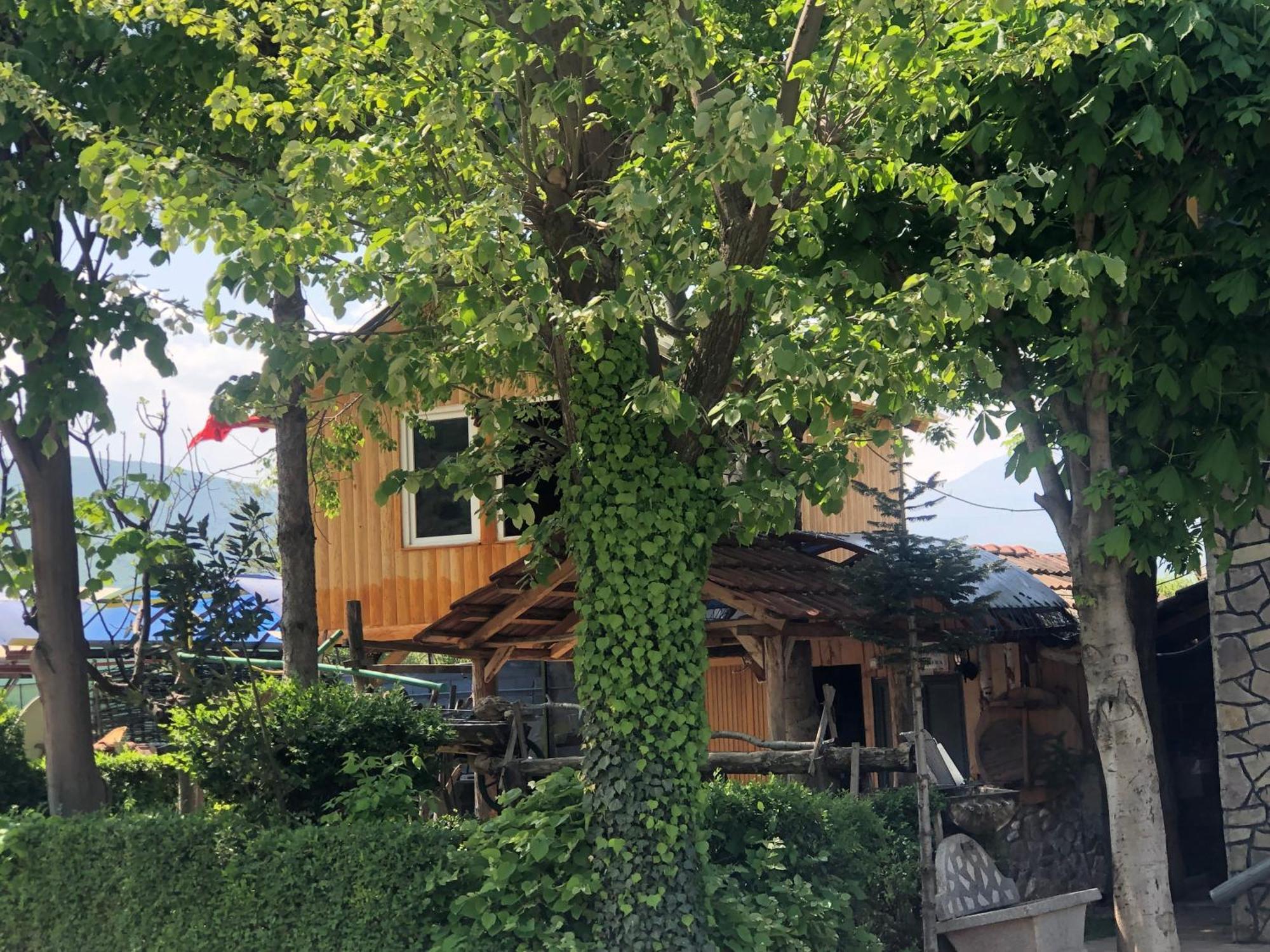 Bujtina Gashi Guest House Kukes Экстерьер фото