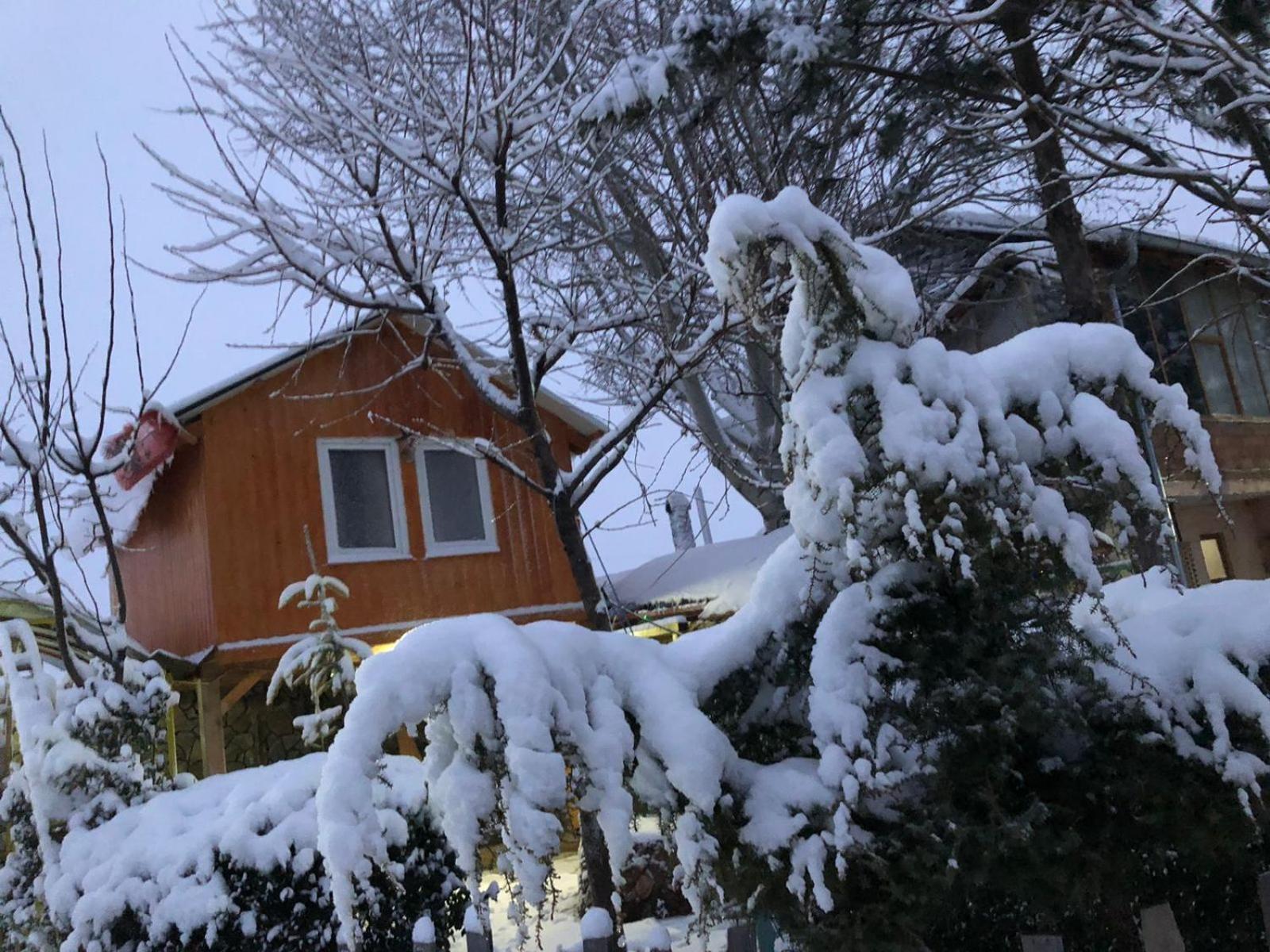 Bujtina Gashi Guest House Kukes Экстерьер фото